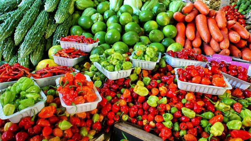 primeur-STE ANASTASIE SUR ISSOLE-min_farmers-market-1329008