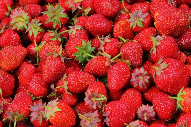 primeur-STE ANASTASIE SUR ISSOLE-min_strawberries-528791